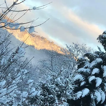 D'hote Au Pied Des Chaumes